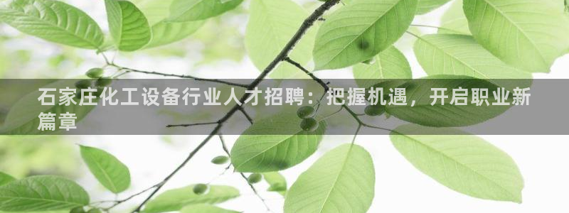 新宝GG平台招商
