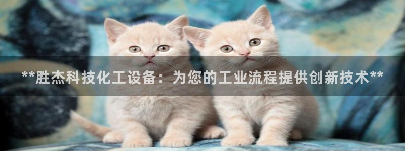 新宝gg创奇迹登录注册：**胜杰科技化工设备：为您