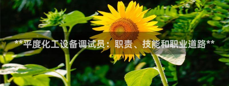 新宝gg售后人工客服电话：**平度化工设备调试员：