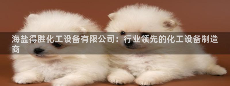 新宝gg登录测速中心：海盐得胜化工设备有限公司：行业领先的化