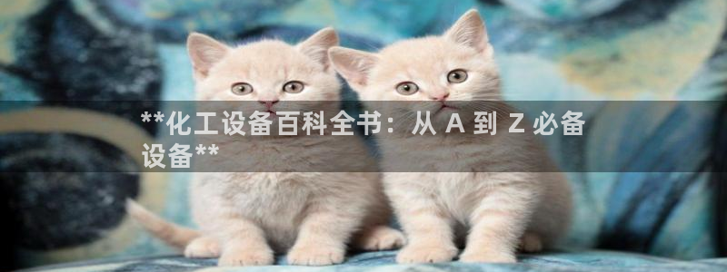 新宝gg怎么登录不了：**化工设备百科全书：从 A