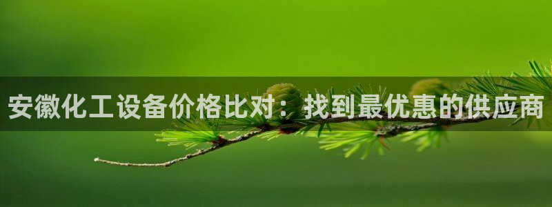 新宝gg平台注册网址：安徽化工设备价格比对：找到最