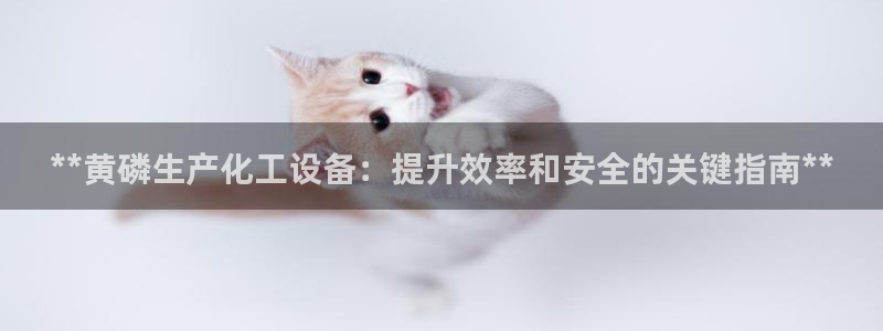 新宝gg一创造奇迹代理