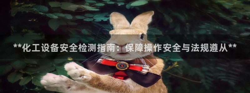 新宝gg—创造奇迹代理登录：**化工设备安全检测指