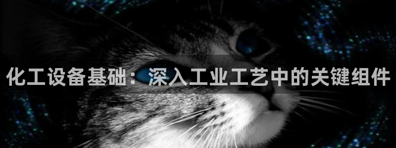 新宝gg登录不了是什么原因