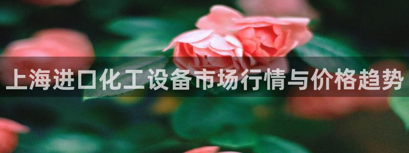 新宝GG创造奇迹客服怎么联系