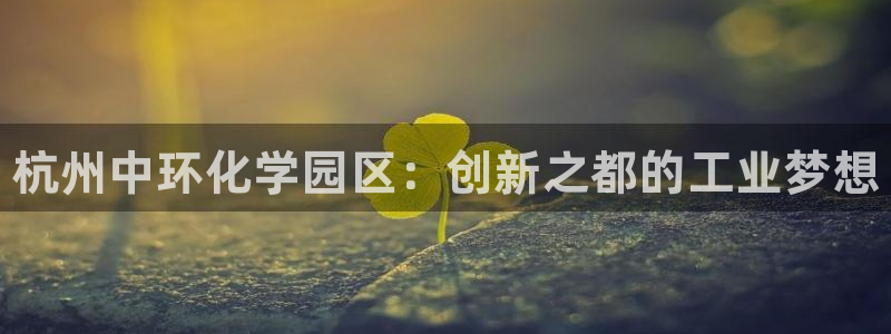 新宝gg上线被抓