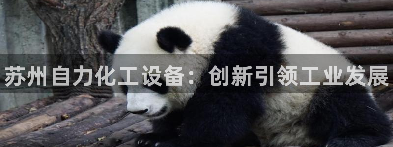 新宝gg创造奇迹官网