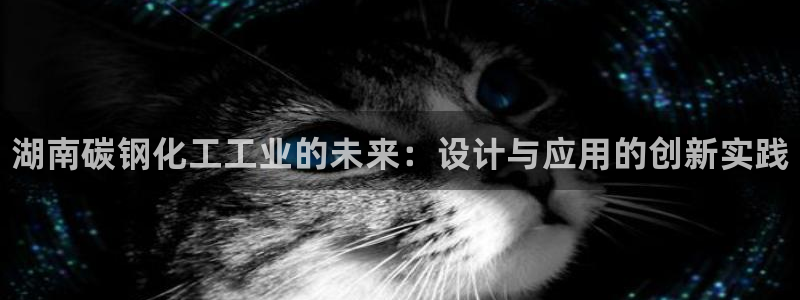 新宝gg登录测速中心：湖南碳钢化工工业的未来：设计