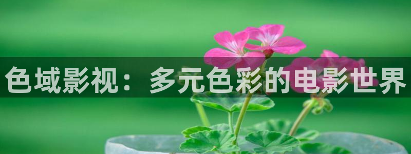 天空猎鹰电影：色域影视：多元色彩的电影世界