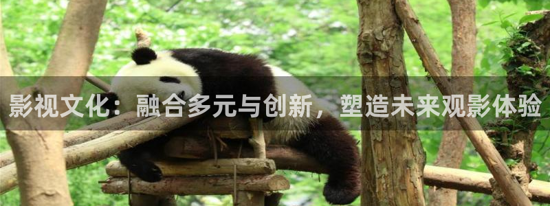 天空上三公尺免费观看：影视文化：融合多元与创新，塑造未来观影体验