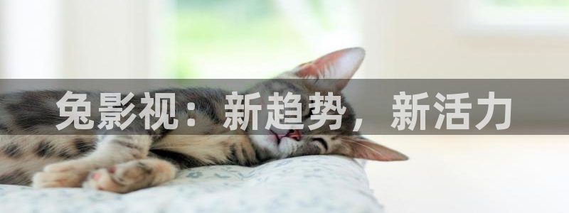 年代:影视的天空：兔影视：新趋势，新活力