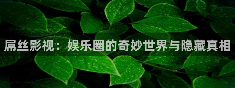 晚霞视频天空：屌丝影视：娱乐圈的奇妙世界与隐藏真相