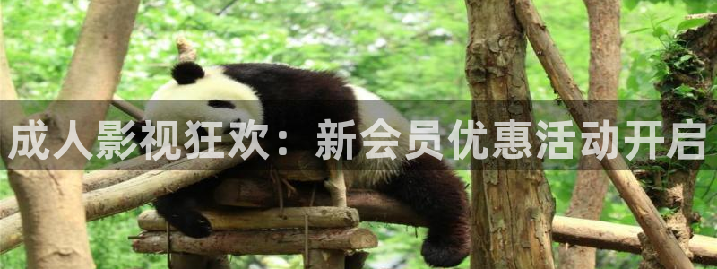 视频p天空：成人影视狂欢：新会员优惠活动开启