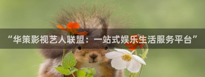 软天空的下载怎么下载：“华策影视艺人联盟：一站式娱乐生活服务平台”